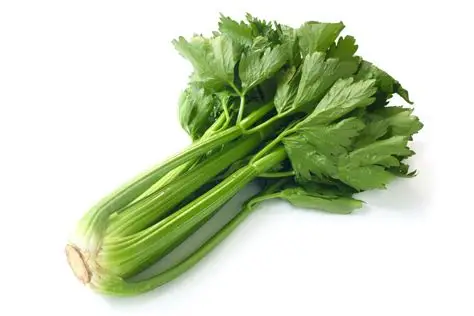 Céleri blanc