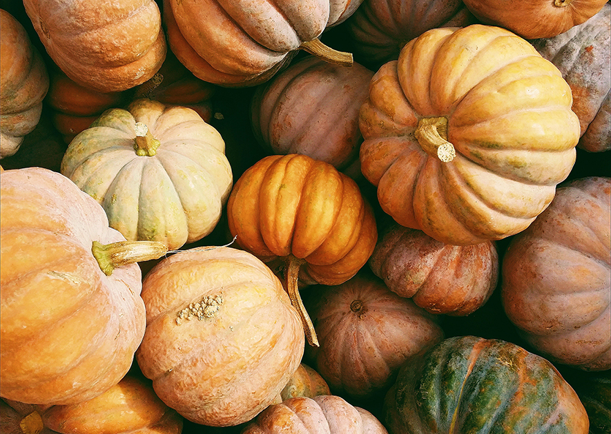 Citrouille