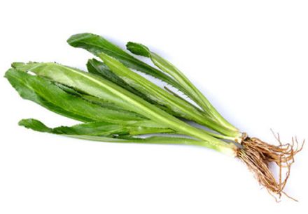 [LEG17] Chadon béni