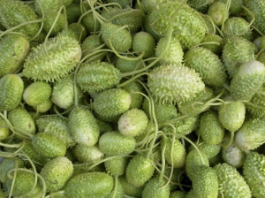 [LEG26] Concombre-piquant