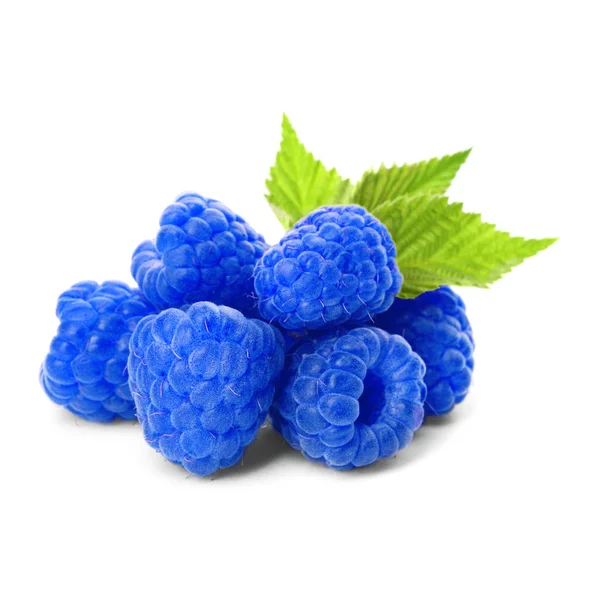 [FRU19] Framboise bleue