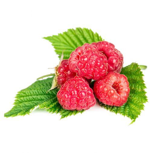 [FRU20] Framboise rouge