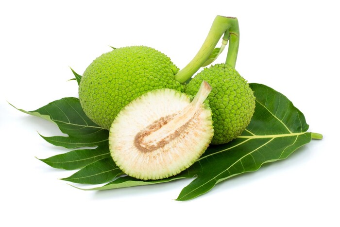 [FRU21] Fruit à pain