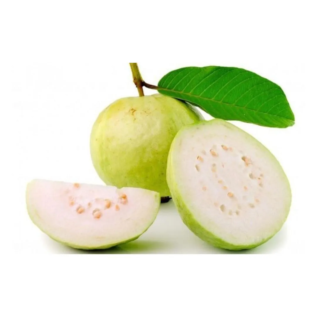 [FRU24] Goyave blanc