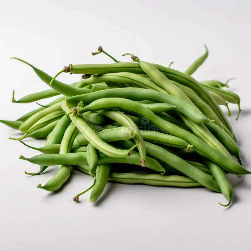 [LEG35] Haricot vert