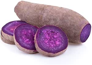 [LEG38] Igname violet