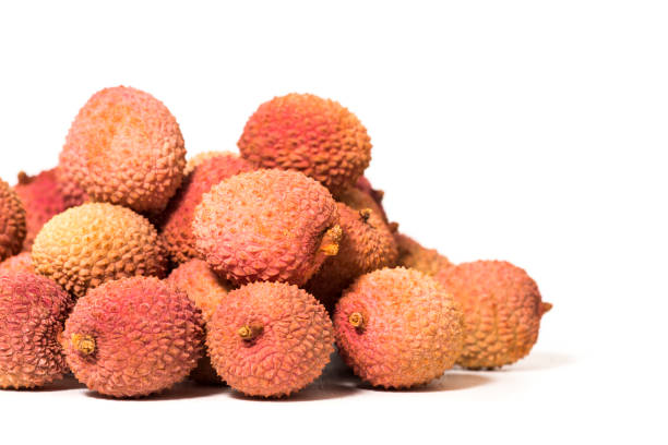 [FRU28] Litchi