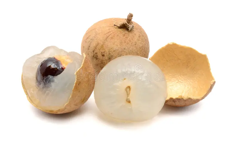 [FRU29] Longan