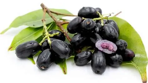 Jamblon