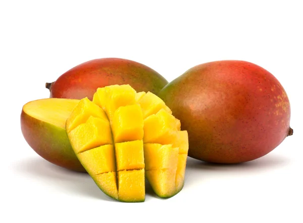 [FRU36] Mangue