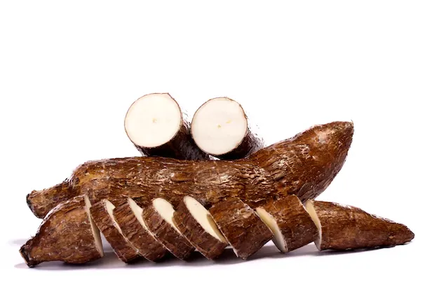 [LEG40] Manioc