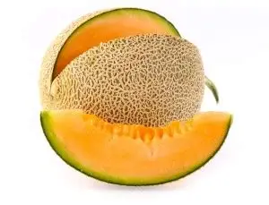 [FRU40] Melon