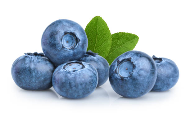 [FRU44] Myrtille - baie bleue
