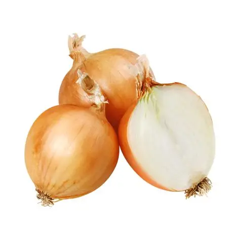 Ognion