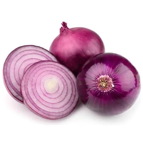 [LEG45] Oignon violet