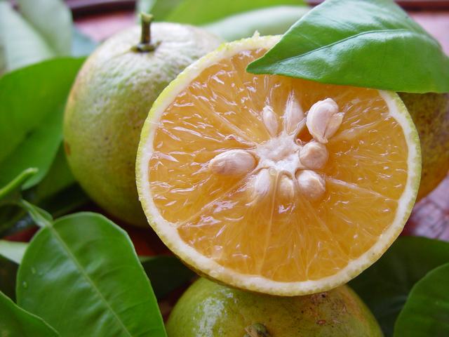Orange