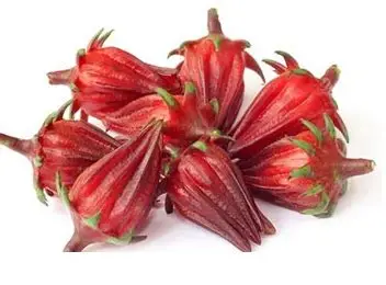 [FRU47] Oseille - bissap - groseille pays