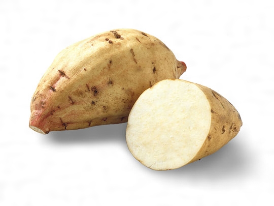 [LEG47] Patate douce blanc