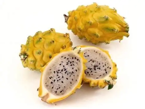 [FRU53] Pitaya jaune