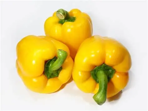 Poivron jaune