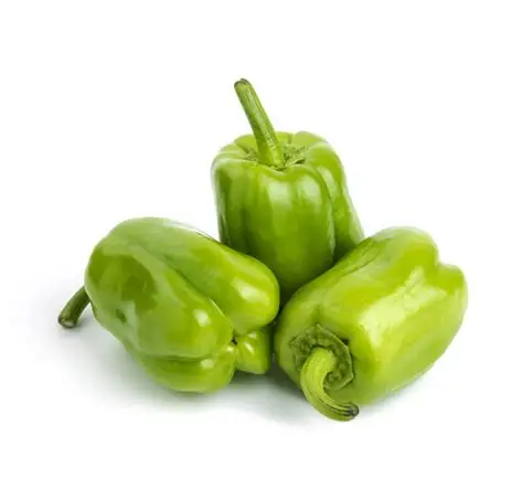 [LEG54] Poivron vert