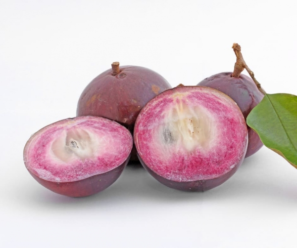 [FRU59] Pomme de lait