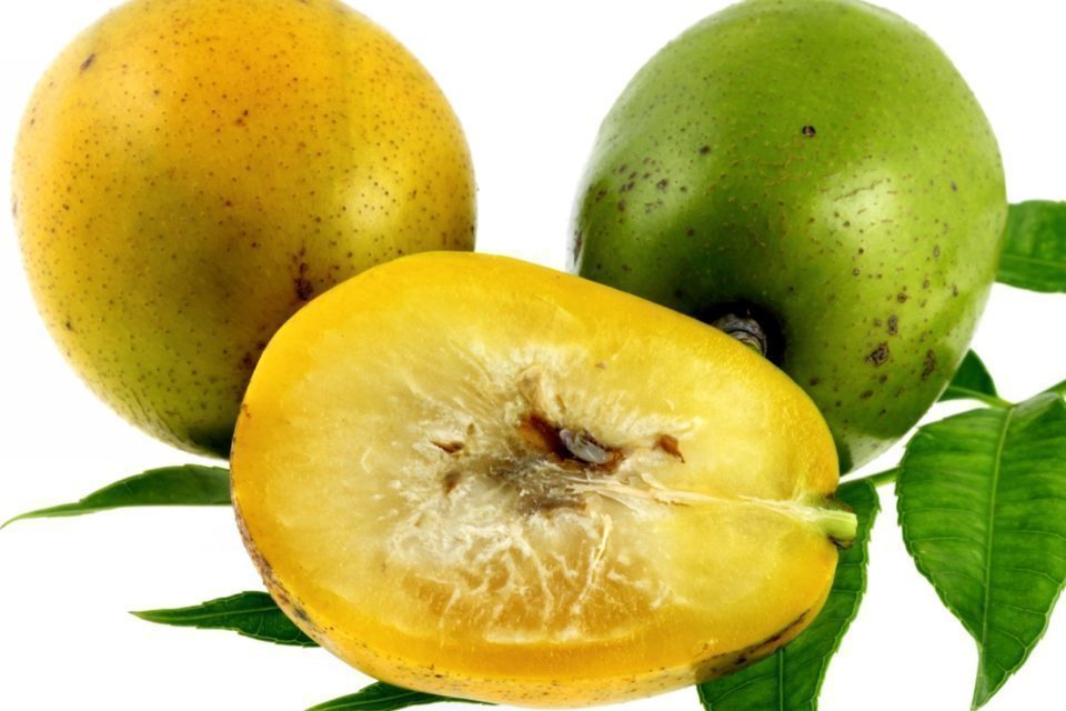 [FRU68] Prune de cythère