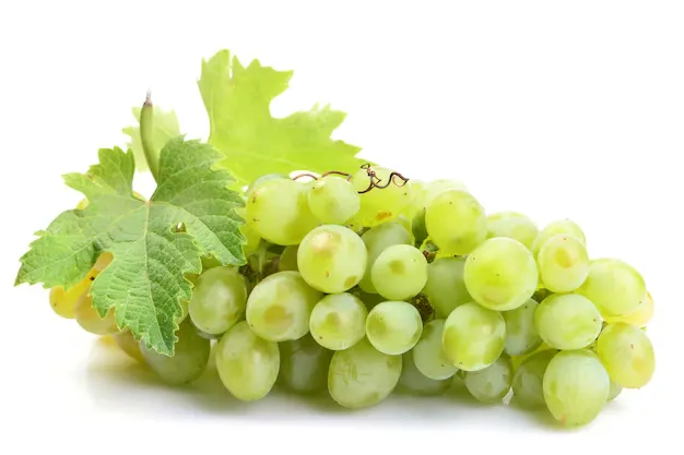 [FRU70] Raisin blanc