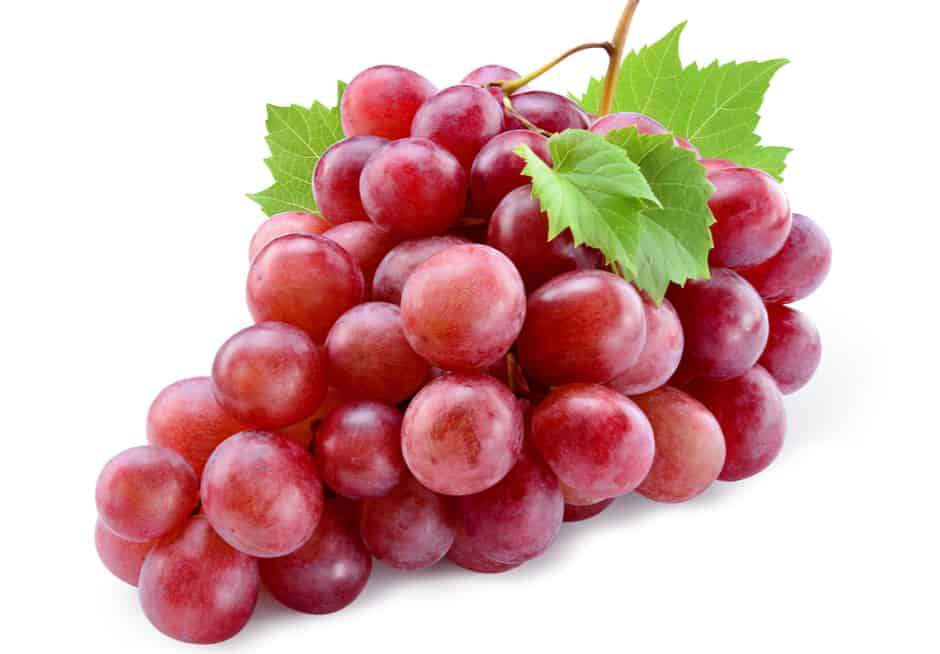[FRU72] Raisin rouge