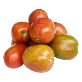[FRU78] Tomate longue