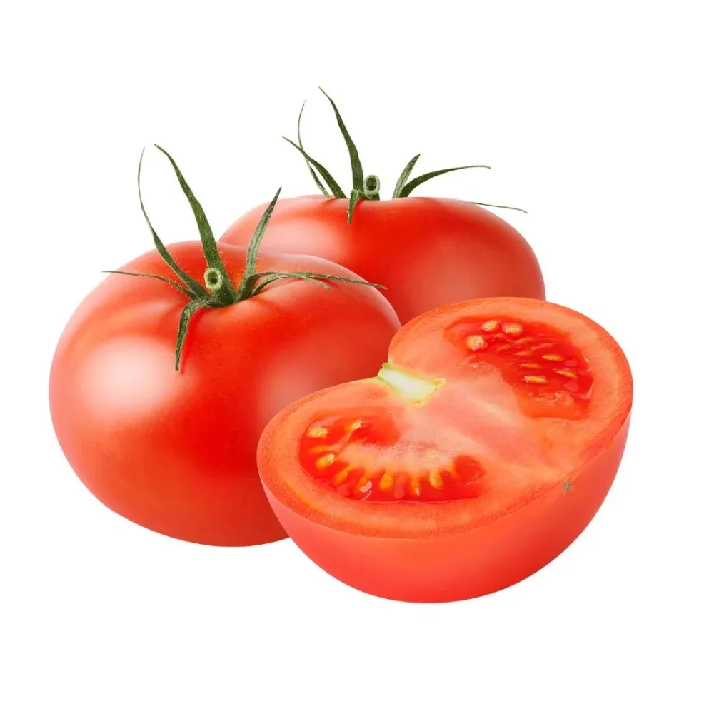 [FRU79] Tomate ronde